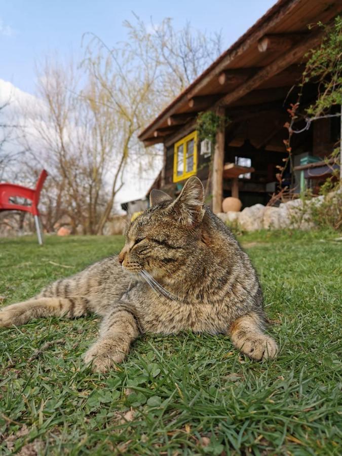 Chalet Belino Sokace Ужице Экстерьер фото